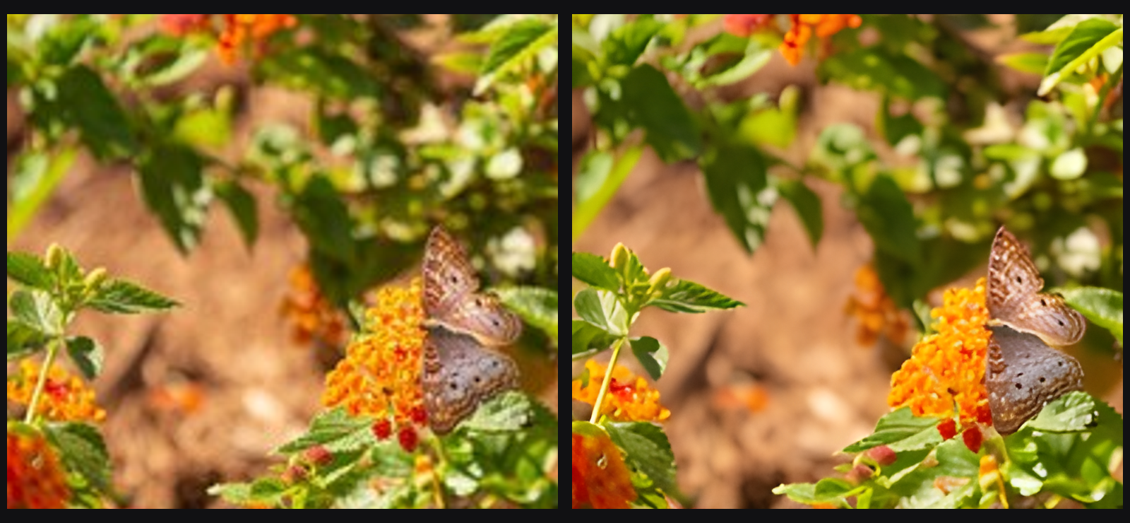Close-up: on the left, the original enlarged 4× with a standard resize; on the right, the 4× Solace Upscale result. Both are shown at 100%.
